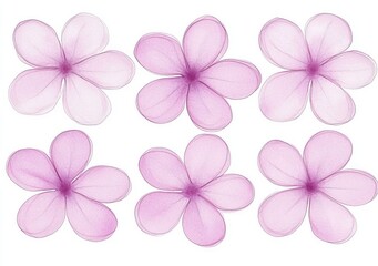 Obraz premium A branch from a lilac tree, featuring flowers of numerous types and colors
