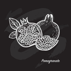 Pomegranate fruit in the style of line drawing on a black board