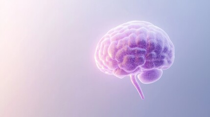 Fototapeta premium Abstract Wireframe Model of a Human Brain