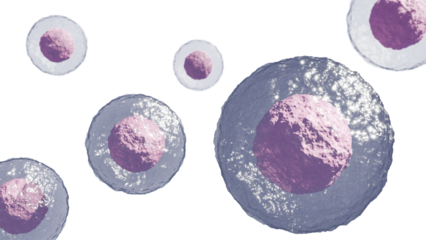 Microscopic View of Stem Cells - Scientific and Medical transparent image