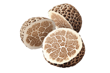 Fresh Marzuolo truffles isolated on white transparent background, great for culinary and gourmet themes.