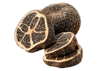 Fresh black Oregon truffles isolated on white transparent background, great for culinary and gourmet themes.