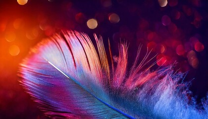 Obraz premium feathers on black background