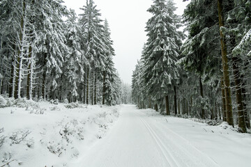 Winterwanderung durch den Thüringer Wald bei Oberhof und dem Kanzlersgrund bei winterlichen Wetter - Thüringen - Deutschland