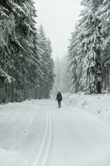 Winterwanderung durch den Th&uuml;ringer Wald bei Oberhof und dem Kanzlersgrund bei winterlichen Wetter - Th&uuml;ringen - Deutschland