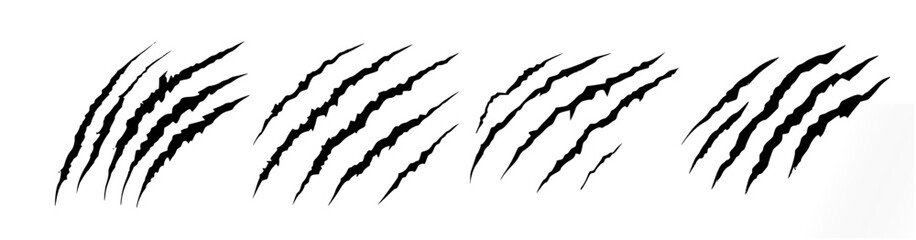 claw marks or scratches logo element on white. vector scratches for tiger, bear, beast, wolf, lion etc wild animals zone concept. wilderness concept.