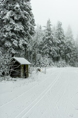 Winterwanderung durch den Thüringer Wald bei Oberhof und dem Kanzlersgrund bei winterlichen Wetter - Thüringen - Deutschland