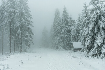 Winterwanderung durch den Thüringer Wald bei Oberhof und dem Kanzlersgrund bei winterlichen Wetter - Thüringen - Deutschland