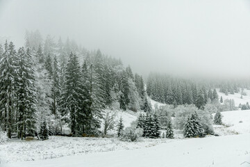 Winterwanderung durch den Thüringer Wald bei Oberhof und dem Kanzlersgrund bei winterlichen Wetter - Thüringen - Deutschland