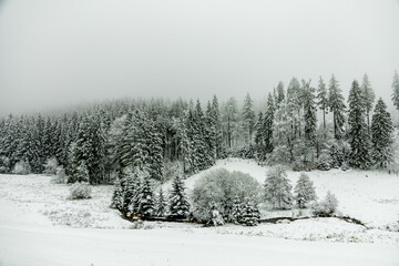 Winterwanderung durch den Thüringer Wald bei Oberhof und dem Kanzlersgrund bei winterlichen Wetter - Thüringen - Deutschland
