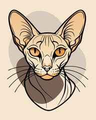 Obraz premium Stylized Maine Coon cat portrait in flat colors and bold lines