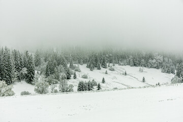Winterwanderung durch den Thüringer Wald bei Oberhof und dem Kanzlersgrund bei winterlichen Wetter - Thüringen - Deutschland