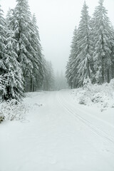 Obraz premium Winterwanderung durch den Thüringer Wald bei Oberhof und dem Kanzlersgrund bei winterlichen Wetter - Thüringen - Deutschland