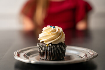 Chocolate cupcake with frosting and sprinkles ona plate
