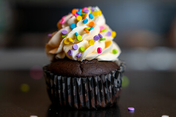 Chocolate cupcake with frosting 