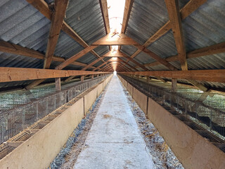 Internal view of a shed for keeping minks.