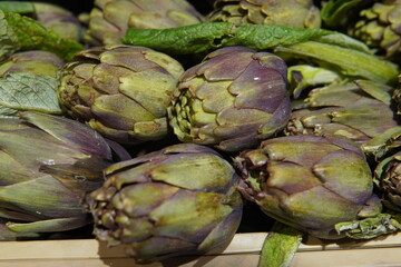 Obraz premium Fresh purple artichokes. Violet hues and intricate textures of tightly packed leaves with subtle green accents. Artichokes are arranged close together to create an organic pattern.