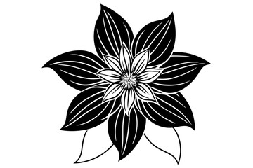 Fototapeta premium Clematis Line Silhouette Drawing Minimalist Botanical Art