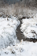 Small stream in the snow