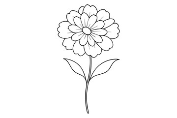Coreopsis Line Silhouette Drawing Elegant Floral Outline Illustration