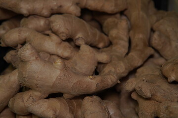 Fresh ginger root. Zingiber. Beige-light brown skin and golden-yellow interior. Ginger is an ingredient for cooking and medicine. For health and traditional healing around the world.