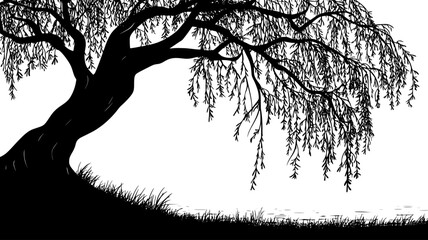 Willow tree with drooping branches swaying beside a calm water source, Plant Digital Art