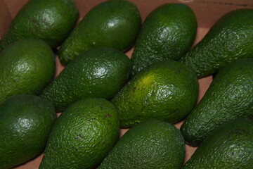 Ripe avocados laid out in a crate. Smooth, dark green and blackish avocado skin. Perfect image for healthy eating, organic food or grocery shopping themes.