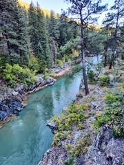 Animas River Flowing Through a Forested Canyon in Durango, Colorado