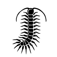 Centipede