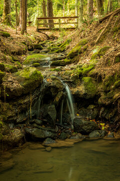 A small creek flows under a wooden bridge and then falls into a pool of water.