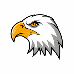 American Bald Eagle Head Vector Illustration