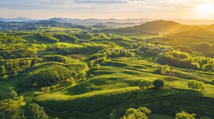 Obraz premium Scenic hillside landscape at sunset.