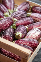 Fresh organic premium eggplants in wooden box