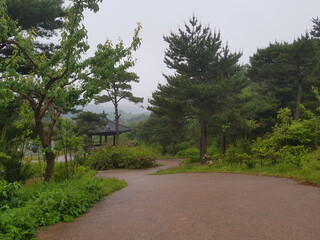 산책길