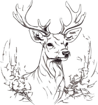 recommend clip art:  A deer head line vector art illustration