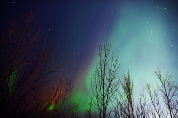 Aurora borealis, polar lights with Milky Way stars.