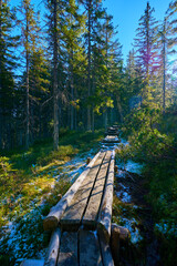 High moor with boardwalk.  Löckernmoss , Lockernmoos, Loeckernmoos in Gosau . Upper Austria