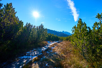 High moor with boardwalk.  Löckernmoss , Lockernmoos, Loeckernmoos in Gosau . Upper Austria
