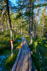 High moor with boardwalk.  Löckernmoss , Lockernmoos, Loeckernmoos in Gosau . Upper Austria