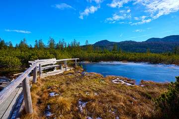 High moor Löckernmoss , Lockernmoos, Loeckernmoos in Gosau. Upper Austria  - while Gosaukamm in the background