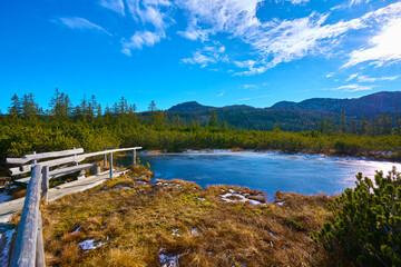 High moor Löckernmoss , Lockernmoos, Loeckernmoos in Gosau. Upper Austria  - while Gosaukamm in the background
