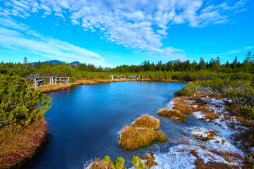 High moor Löckernmoss , Lockernmoos, Loeckernmoos in Gosau. Upper Austria  - while Gosaukamm in the background