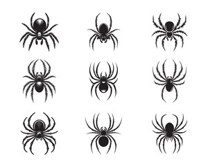 A  Set of spider silhouettes