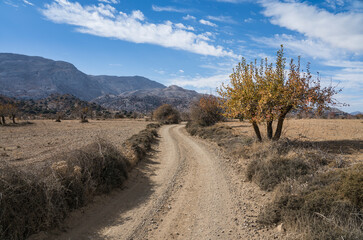 Rural street in the mauntain of crete