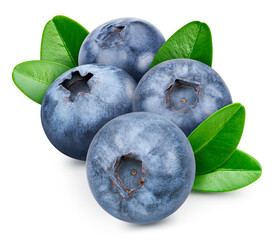 Obraz premium Blueberry isolated on white background. Blueberry Clipping Path
