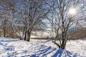 Snowy trees in the foreground of the winter misty landscape at sunny day. The Orava region in north of Slovakia, Europe.