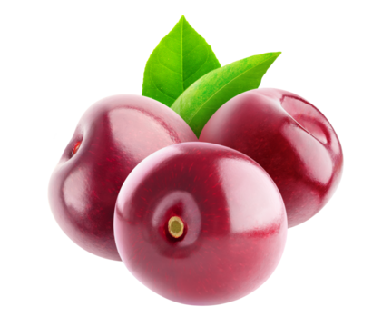 Three glossy cherry fruits cut out, no stems