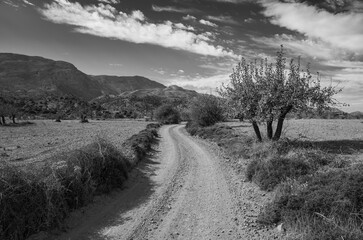 Rural street in the mauntain of crete