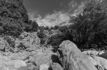 rural path in the moutains of crete