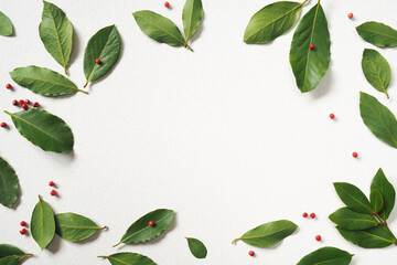 Fototapeta premium Fresh green bay leaves and pink Peruvian pepper peas on a white background. Top view. Copy space